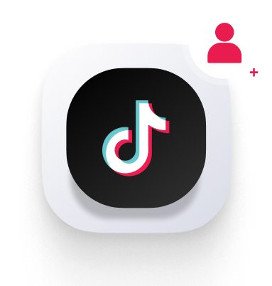 TikTok Icon